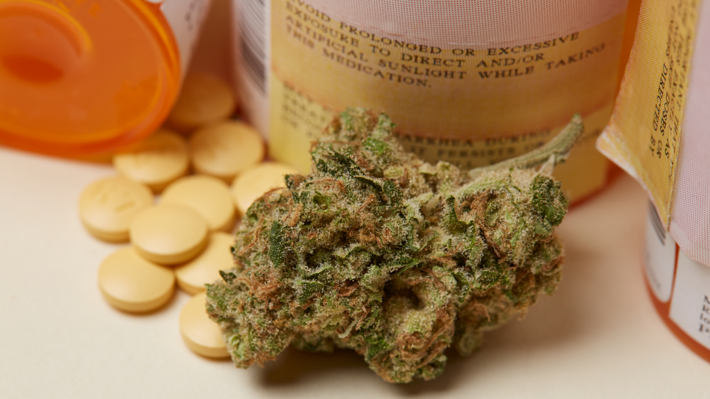 photo of How and Why Cannabis is a Safe Alternative to Opioids for Pain Relief image